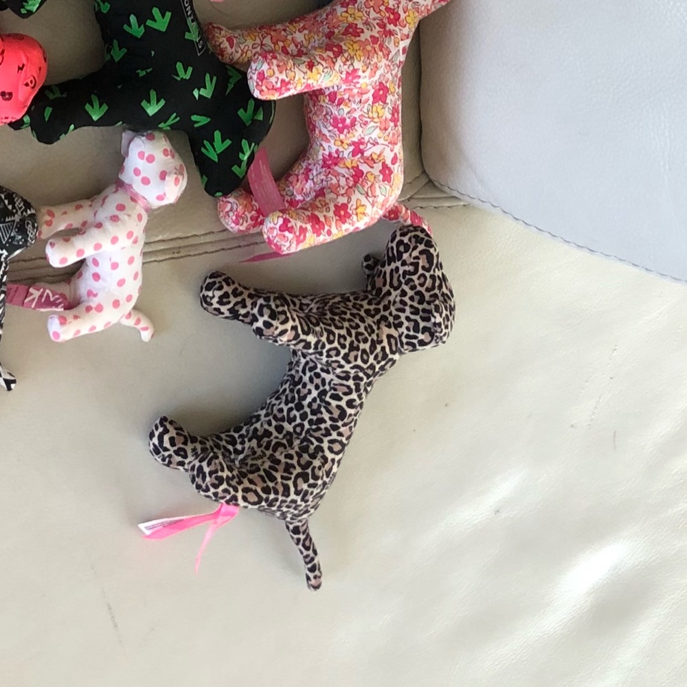 Cheetah dog